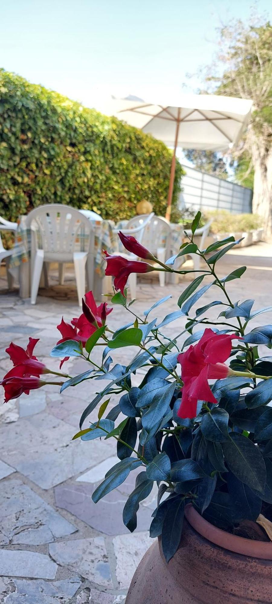 Hotel Lea Grosseto Eksteriør billede